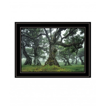 Homeroots Enchanted Forest I 4 Black Framed Print Wall Art 407841