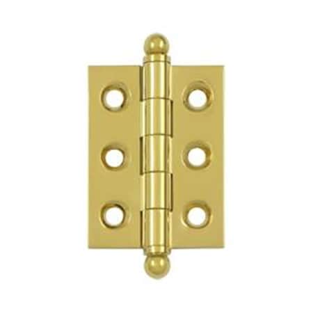 Patioplus 2 x 1.5 in. Hinge with Ball Tips, Lifetime PA877983