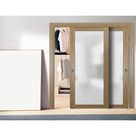 Sartodoors Sliding Closet Bypass Doors with Hardware Planum 2102 Solid Core Modern Interior PLANUM2102DBD-HA-36