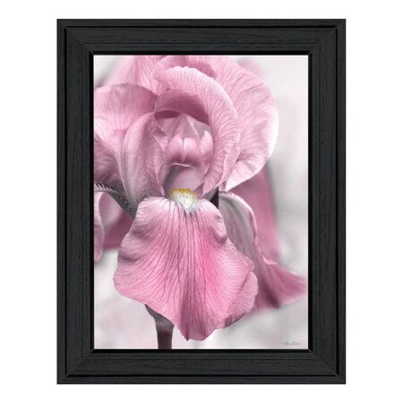 Homeroots Pink Iris Black Framed Print Wall Art 530020