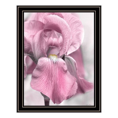 Homeroots Pink Iris Black Framed Print Wall Art 530022