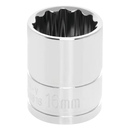 Performance Tool 3/8 in Drive, 16 mm Metric Socket, 12 Points W38816