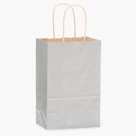 Nashville Wraps Metallic Silver Recycled Kraft Bag, Rose 5.5x3.25x8.375", 100PK HRTMS