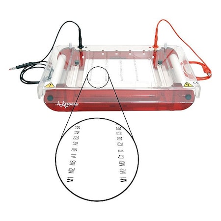 Hoefer Gel Electrophoresis Unit, 21 1/2 cm L SUBHT