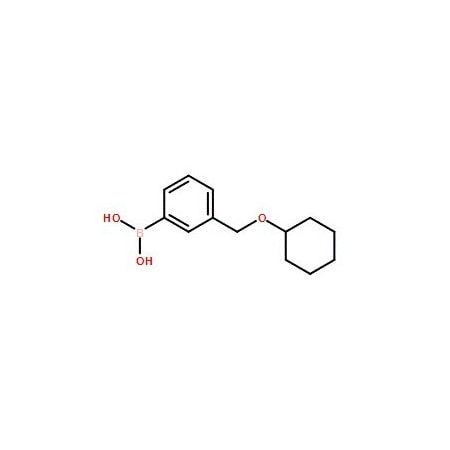 Ak Scientific 3-(Cyclohexyloxy)methylphenylboronic acid (5g), CAS 1256358-64-1 X1985-5g