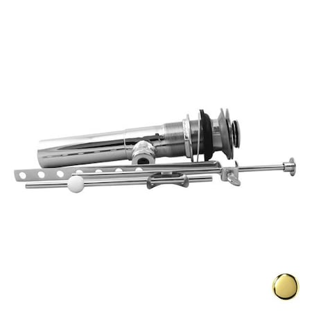 Westbrass Pop-Up Lavatory Drain with Overflow Holes - PVD Polished Brass D412-2-01
