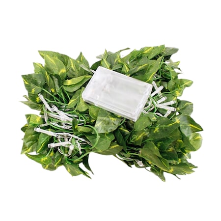 Elegani 66 LED Ivy Leaf Curtain Lights - 3.3ft x 5.2ft, 6 Strands, Warm White, Indoor Hanging Vine Dcor PH-IVY-GRN