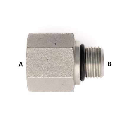 Bailey Male O-Ring Boss to F Pipe Straight - 7/8-14 A, 1/2-14 B FG6405-10-08