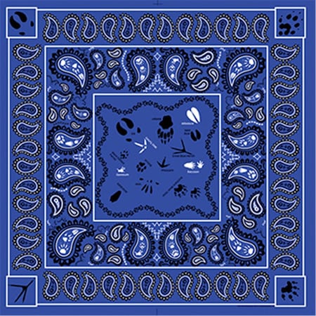 Perfectpitch 22 x 22 in. Paisley Tracks Bandana 22in. x 22in. PE3571097