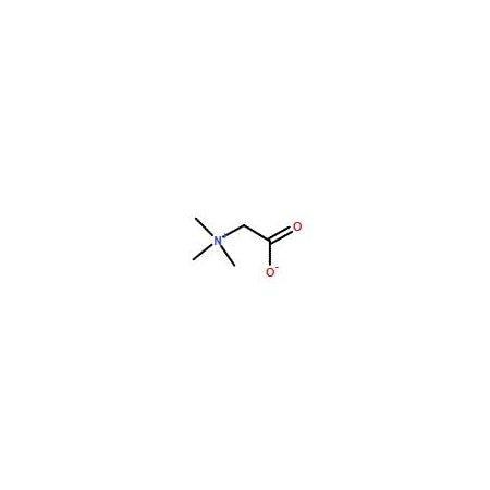 Ak Scientific Betaine (25g), CAS 107-43-7 G671-25g