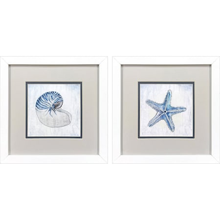 Homeroots Set Of Two Azure Shell White Framed Wall Art, 2PK 653898