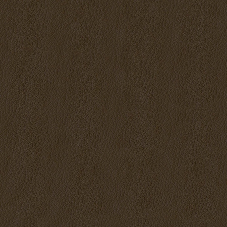 Abbeyshea Tan, Polyurethane Coated Faux Leather Fabric, 9 in L, 9 in W KENDR802M9X9