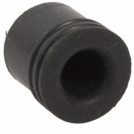 Motorcraft Brake Bleeder Screw, BKBF7
