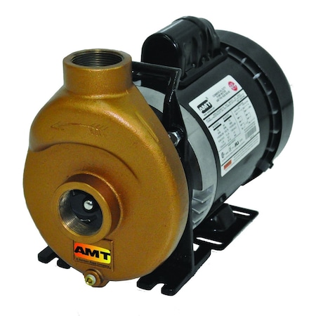 Amt Pump 1.5-in. Stainless Electric Straight w/ 1/2 HP 1PH TEFC 388F-98