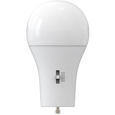 Maxlite Compact LED Bulb, Frosted, A19, White VE5A19GU24D8CS
