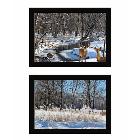 Set Of Two Great Outdoors Nature or Winter Forest 1 Black Framed Print Wall Art, 2PK