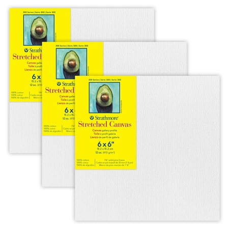 Strathmore 300 Series Gallery Stretched Canvas, 6x6 inch, 3PK P314-06