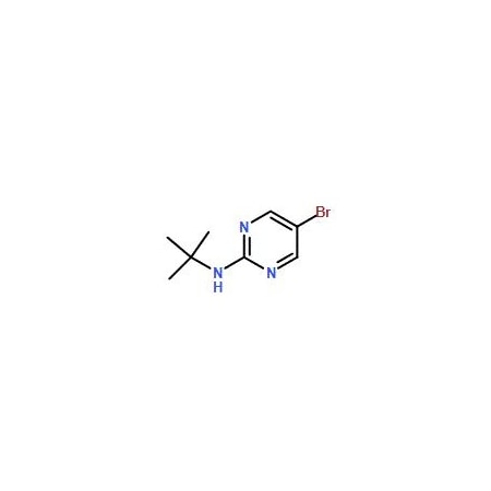 Ak Scientific 5-Bromo-2-t-butylaminopyrimidine (1g), CAS 14001-72-0 V2986-1g