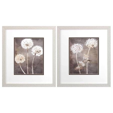 Set Of Two Dandelion White Framed Print Wall Art, 2PK