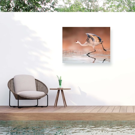 Trademark Fine Art Outdoor Canvas Art James Lu Running In The Morning Mist Wall Art for Patios, or Gardens 1X28108-OC1824WR