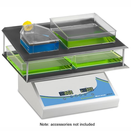 Benchmark Scientific Everlast Rocker 247, 12in x 16in double platform 400712