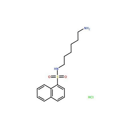 Ak Scientific N-(6-Aminohexyl)-1-naphthalenesulfonamide hydrochloride (500mg), CAS 61714-25-8 8355AL-500mg