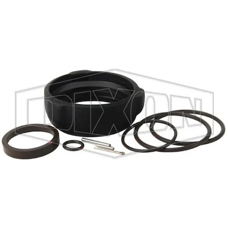 Dixon 3 in COMPLETE SEAL REPAIR KIT FKM BS62-300RK1