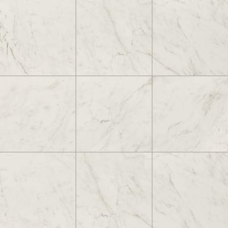 Msi Kaya Carrara Bianco 24in. X 24in. Polished Porcelain Floor And Wall Tile, 4PK ZOR-PT-0854