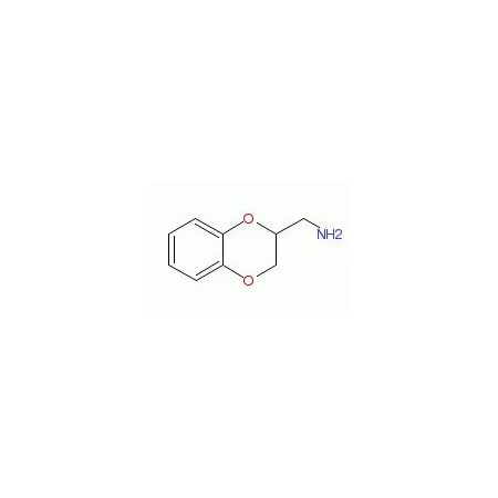 Ak Scientific 2-Aminomethyl-1, 4-benzodioxane (1g), CAS 4442-59-5 W6331-1g