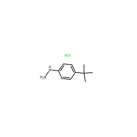 Ak Scientific (4-(tert-Butyl)phenyl)hydrazine hydrochloride (1g), CAS 128231-55-0 X9724-1g
