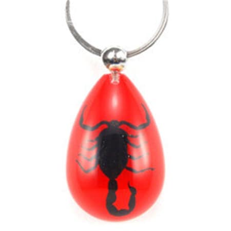 Ed Speldy East Key Chain Black Scorpion Water Drop Shape Red SK094