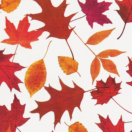 Nashville Wraps Autumn Leaves Tissue Paper, 20x30, Fold Sheets, 12PK P1200Q