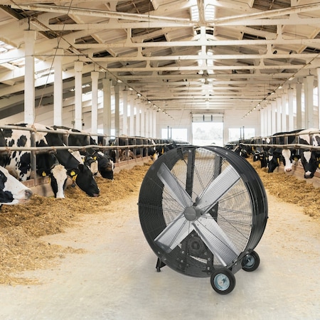 Denali Aire 36'' 2-Speed High Velocity Black Belt Drive Drum Fan 2DAFDRUMB36