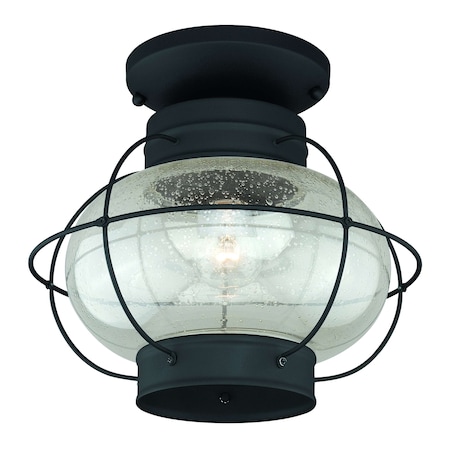 Vaxcel Chatham Black Coastal Globe Outdoor Flush Mount Ceiling Light Clear Glass T0144