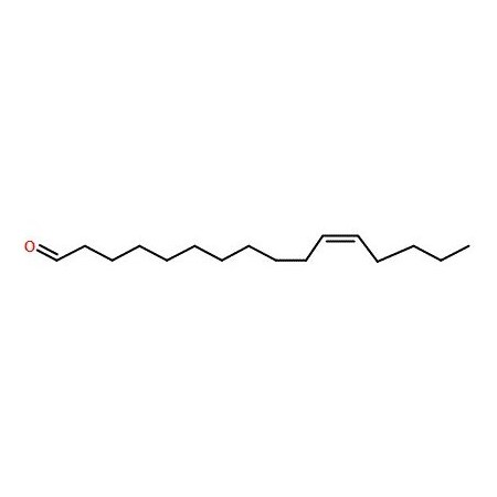 Ak Scientific (Z)-Hexadec-11-enal (1g), CAS 53939-28-9 7715AB-1g