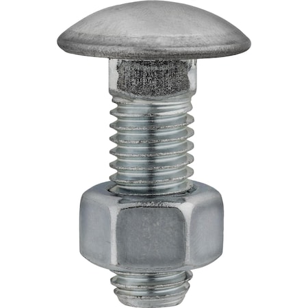 Auveco 1/2in-13 x 1 1/2in Stainless Steel Capped Round Head Bumper Bolts with Hex Nuts, 10PK 3102