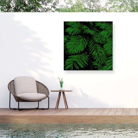 Trademark Fine Art Outdoor Canvas Art Tina Lavoie 'Sentinel' Wall Art for Patios, or Gardens ALI73676-OC1818WR