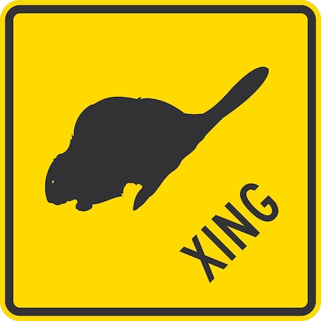 Lyle Beaver Xing, 24x24, Engineer Grade, Yellow G-12777-EG_24x24