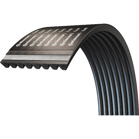 Continental Banded V-Belt, Conti V Torque Team Standard, 20041136, 8V, CR, SBR, 253 in, 1 in Top Width 20041136