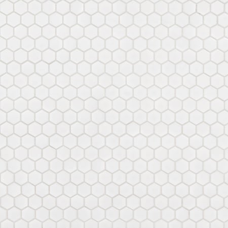 Msi Retro Bianco Hexagon SAMPLE Glossy Porcelain Mesh-Mounted Mosaic Tile ZOR-MD-0232-SAM