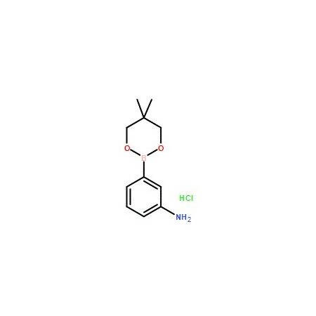Ak Scientific 3-Aminophenylboronic acid neopentyl glycol ester HCl (250mg), CAS 850567-43-0 X2376-250mg