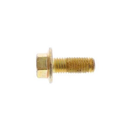 Raymond REPLACEMENT SCREW 1169616/524