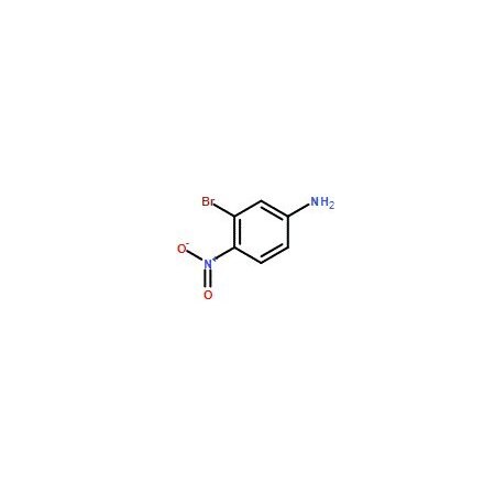 Ak Scientific 4-Nitro-3-bromoaniline (1g), CAS 40787-96-0 X0272-1g