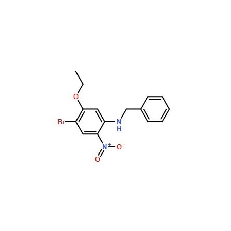 Ak Scientific N-Benzyl-4-bromo-5-ethoxy-2-nitroaniline (1g), CAS 1345471-72-8 Z9787-1g