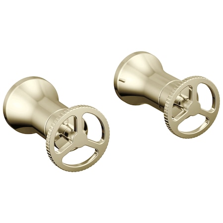 Delta Trinsic Wheel Handle - Wall Mount Lav In Polished Nickel H558PN