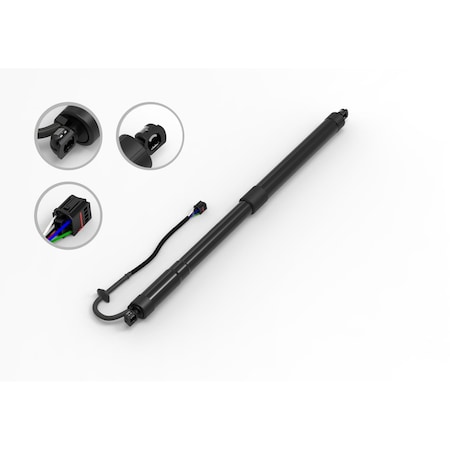 Fcs Struts Liftgate Lift Support E89082L