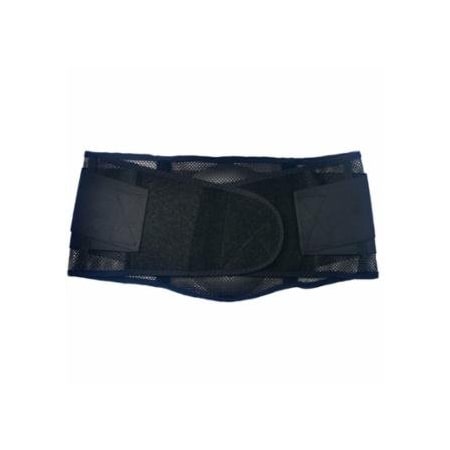 Ergodyne ProFlex 1051 Mesh Back Support, Small, Black, 6PK 150-20183