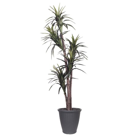 Vickerman 6 ft. Marginata Executive Tree in Round Grey Container, Green TEX1160-RG