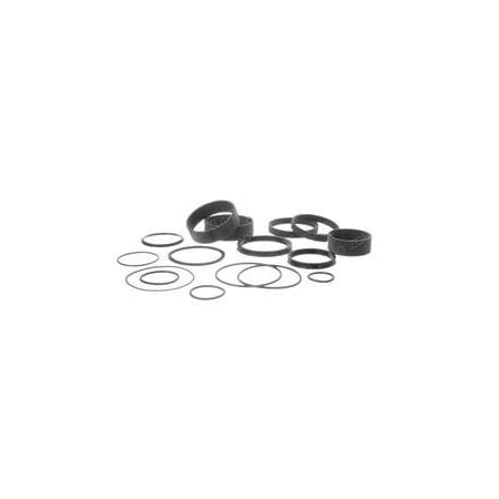 Skyjack REPLACEMENT SEAL KIT, OUTRIGGER CYLINDER 160636