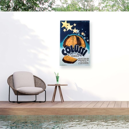 Trademark Fine Art Outdoor Canvas Art Marcus Jules Colussi Wall Art for Patios, or Gardens GRL02328-OC1219WR